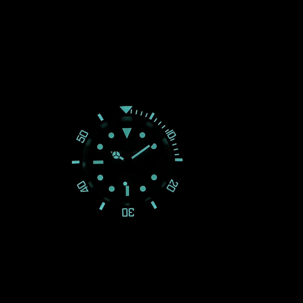 Steeldive New Watch SD1953C Wa - Seiko Watch Prospex recension och pris